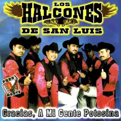 Gracias, a Mi Gente Potosina by Los Halcones de San Luis album reviews, ratings, credits