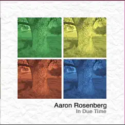 In Due Time by Aaron Rosenberg album reviews, ratings, credits