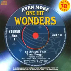 Even More One Hit Wonders (Rerecorded Version) by Various Artists album reviews, ratings, credits