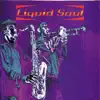 Liquid Soul album lyrics, reviews, download