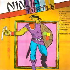 Ninja Turtle by Various Artists album reviews, ratings, credits