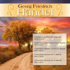Concerto Grosso in C Minor, Op. 6, No.8: III. Andante - Allegro Song Lyrics