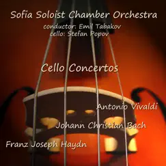 Cello Concerto in D Major, Hob. VIIb. 4: II. Adagio Song Lyrics