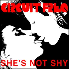 She's Not Shy (Beatslutz Remix) Song Lyrics