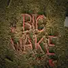 Big Wake album lyrics, reviews, download
