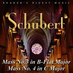 Mass No. 3 In B-Flat Major, D. 324: V. Benedictus Song Lyrics