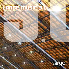 Large Music 3.0 by Various Artists album reviews, ratings, credits
