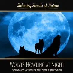 Wolves Howling At Night (Nature Sounds) - Single by Sounds of Nature for Deep Sleep and Relaxation album reviews, ratings, credits