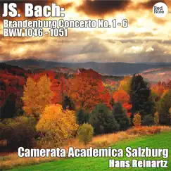 Brandenburg Concerto No. 2 in F major, BWV 1047: II. Andante Song Lyrics