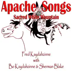 Sacred White Mountain by Fred Kaydahzinne album reviews, ratings, credits