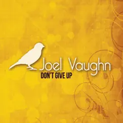 Don't Give Up by Joel Vaughn album reviews, ratings, credits