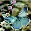 Second Movements - Delicate Beauty album lyrics, reviews, download