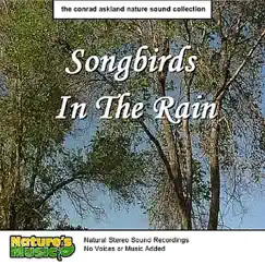 Songbirds in the Rain by Nature's Music & Conrad Askland album reviews, ratings, credits