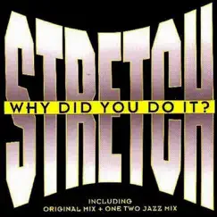 Why Did You Do It (Blow Your Funky Horn Mix) Song Lyrics
