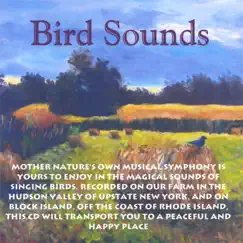 Song Birds Song Lyrics