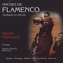 Noches de Flamenco - Pasión Flamenca by Antonio Campos, Raúl Levia, Juan Cortes & Jose de Mode album reviews, ratings, credits