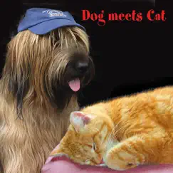 Dog Meets Cat - Single by Dog & Cat album reviews, ratings, credits