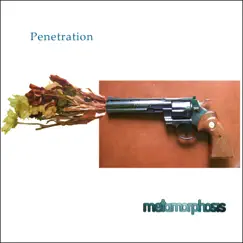 Penetration (Radio Version) Song Lyrics