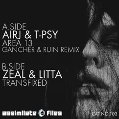 Area 13 / Transfixed - Single by T Psy, AirJ 12, Zeal & Litta album reviews, ratings, credits