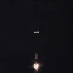 Spark by Brandon Ingle album reviews, ratings, credits
