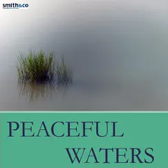Peaceful Waters by The Mick Lloyd Connection album reviews, ratings, credits