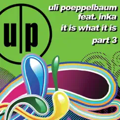 It Is What It Is (Part 3) (feat. Inka) - Single by Uli Poeppelbaum album reviews, ratings, credits