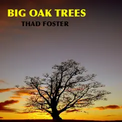 Big Oak Trees by Thad Foster album reviews, ratings, credits