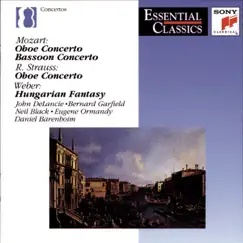 Concerto for Bassoon and Orchestra in B-Flat Major, K. 191 (186e): III. Rondo. Tempo di menuetto Song Lyrics