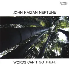 WORDS CAN'T GO THERE by John Kaizan Neptune album reviews, ratings, credits