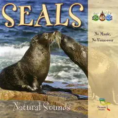 Seals Busy Themselves On a Pebble Beach Song Lyrics