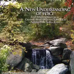 A New Understanding of Peace by Tony Rich with Sheila Evans album reviews, ratings, credits