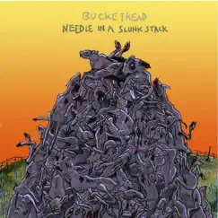 Needle In A Slunk Stack by Buckethead album reviews, ratings, credits