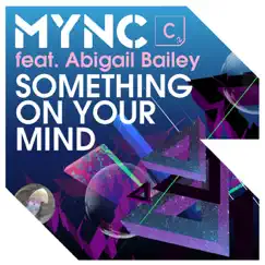 Something On Your Mind (Denzal Park Remix) [feat. Abigail Bailey] Song Lyrics