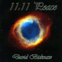 11:11 Peace by David Bicknase album reviews, ratings, credits