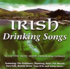 Dublin In the Rare Oul Times Song Lyrics