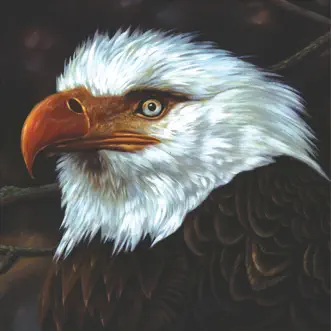 The Hawk Is Howling by Mogwai album download