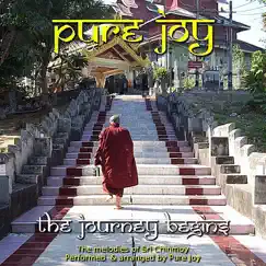The Journey Begins by Pure Joy album reviews, ratings, credits
