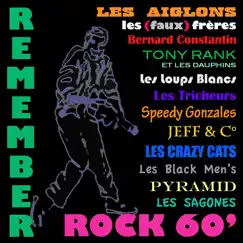 Remember Rock 60's (Evasion 1981) by Various Artists album reviews, ratings, credits