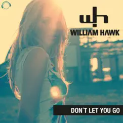 Don't Let You Go (Remixes) by William Hawk album reviews, ratings, credits