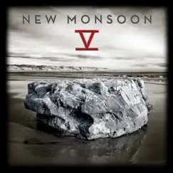 New Monsoon - V by New Monsoon album reviews, ratings, credits