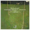 Schubert: Duos pour Piano et Violon album lyrics, reviews, download