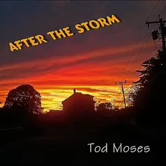 After the Storm by Tod Moses album reviews, ratings, credits