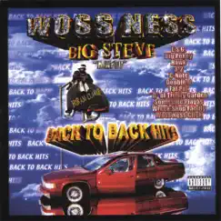 Back to Back Hits by Big Steve album reviews, ratings, credits