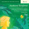 Awakened Rainforest album lyrics, reviews, download
