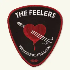 Beautiful Feeling (Acoustic Mix) - Single by The Feelers album reviews, ratings, credits