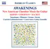 Awakenings: New American Chamber Music for Guitar album lyrics, reviews, download