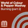 Burning (Part 2) - Single album lyrics, reviews, download