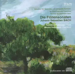 Sonata in G minor for flute and obbligato harpsichord BWV1020 : Adagio Song Lyrics