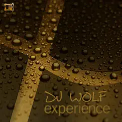 Experience - Single by Dj Wolf album reviews, ratings, credits