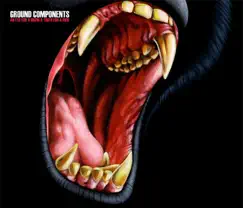 An Eye for a Brow, a Tooth for a Pick by Ground Components album reviews, ratings, credits